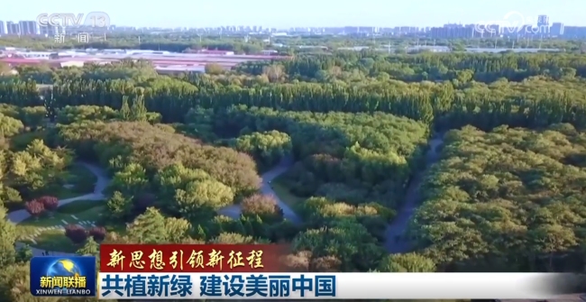【新思想引领新征程】共植新绿 建设美丽中国