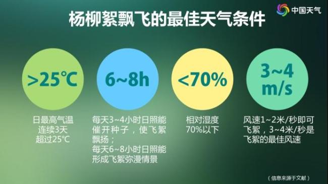 高敏预警！“过敏星人”噩梦又来了，持续一个多月 飞絮季来临