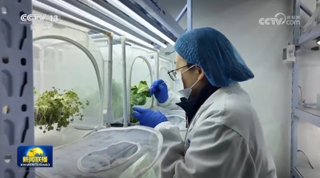 【新思想引领新征程】发展新质生产力 农业现代化步伐加快