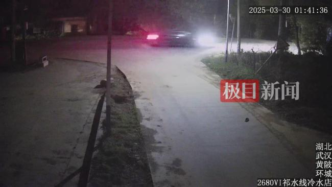 嫌疑车辆 (1).jpg