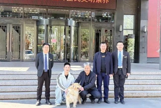 山东知味斋出名了：偶遇浙江迷路金毛，好心收留回山东