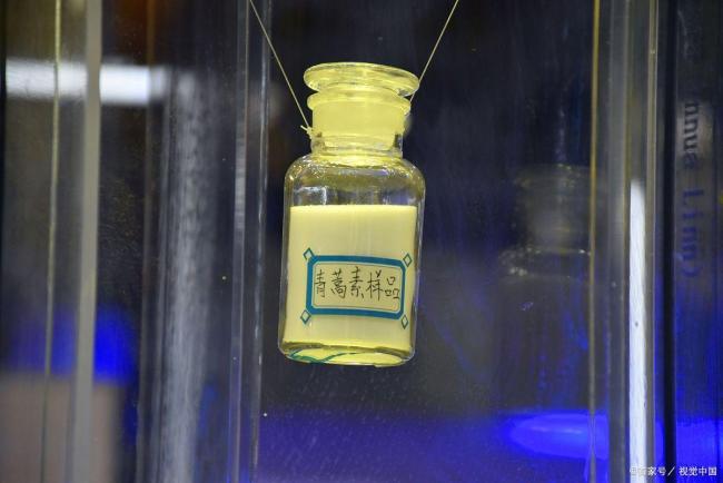 洋小伙的中醫(yī)偶像是屠呦呦 中醫(yī)智慧獲世界認(rèn)可