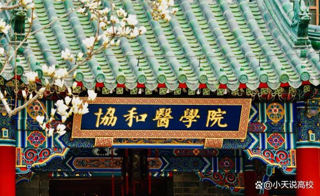 饒毅：沒(méi)說(shuō)過(guò)協(xié)和醫(yī)學(xué)院“烏煙瘴氣” 風(fēng)波背后的信任危機(jī)