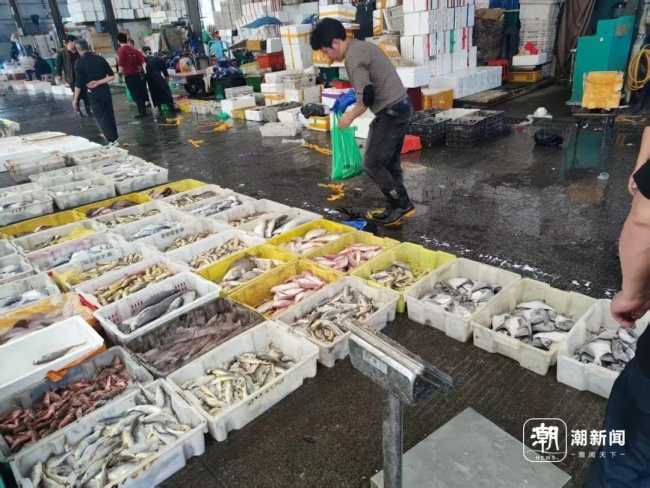 @浙江人，5月8日起,，禁止銷(xiāo)售,！涉及8種海鮮