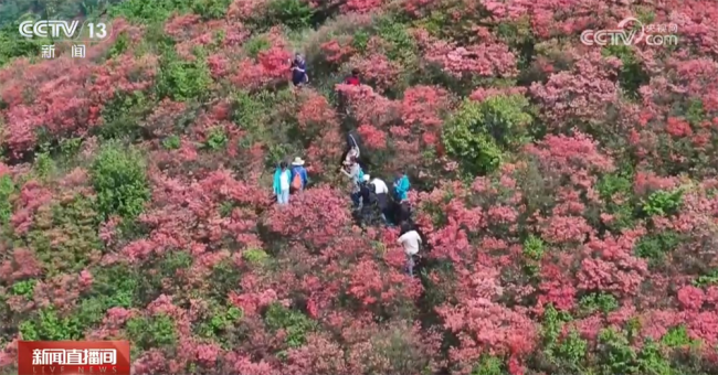 “五一”假期旅游火热 这份“出行宝典”请收藏