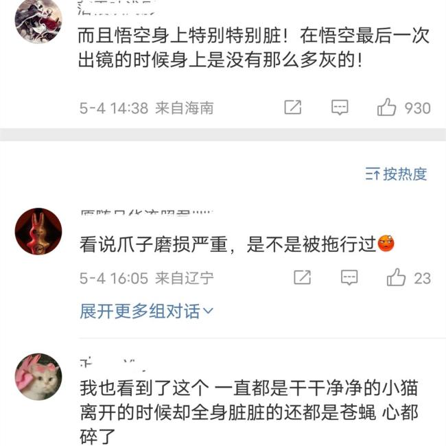 主人發(fā)布網(wǎng)紅小貓悟空去世細(xì)節(jié) 真相竟是陰謀