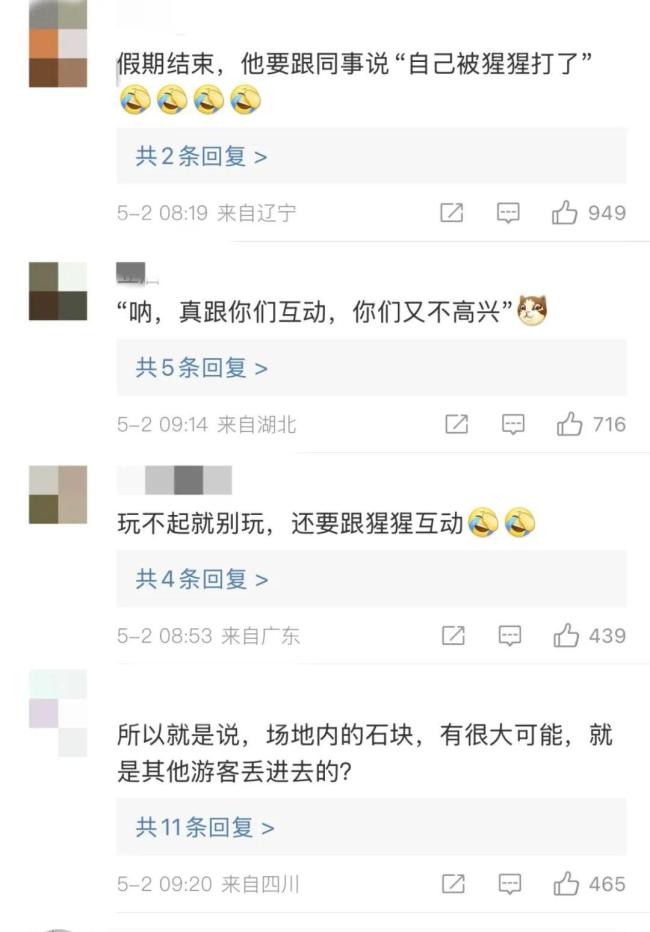 黑猩猩扔石塊傷人,，南寧動(dòng)物園管理引關(guān)注 游客安全受考驗(yàn)