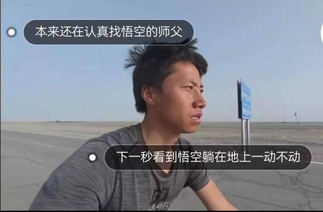網(wǎng)紅貓“悟空”疑似中毒去世 離奇死亡引網(wǎng)友追兇