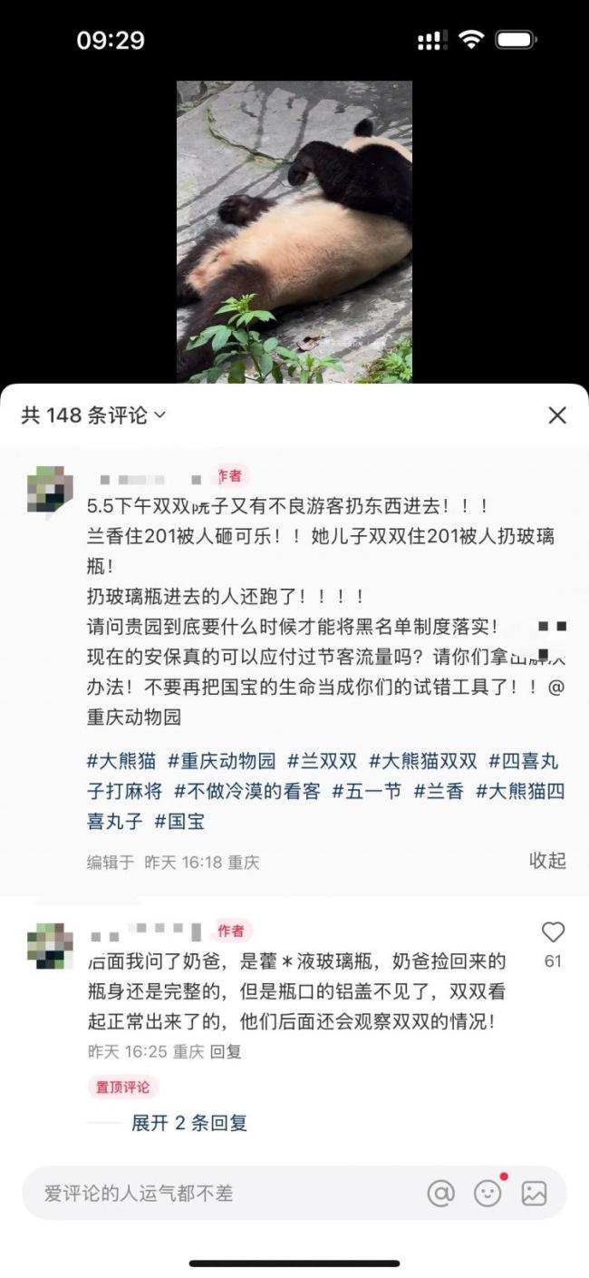 重慶動(dòng)物園大熊貓被扔玻璃瓶