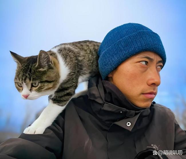 網紅貓 懸賞擊殺 非自然死亡疑云