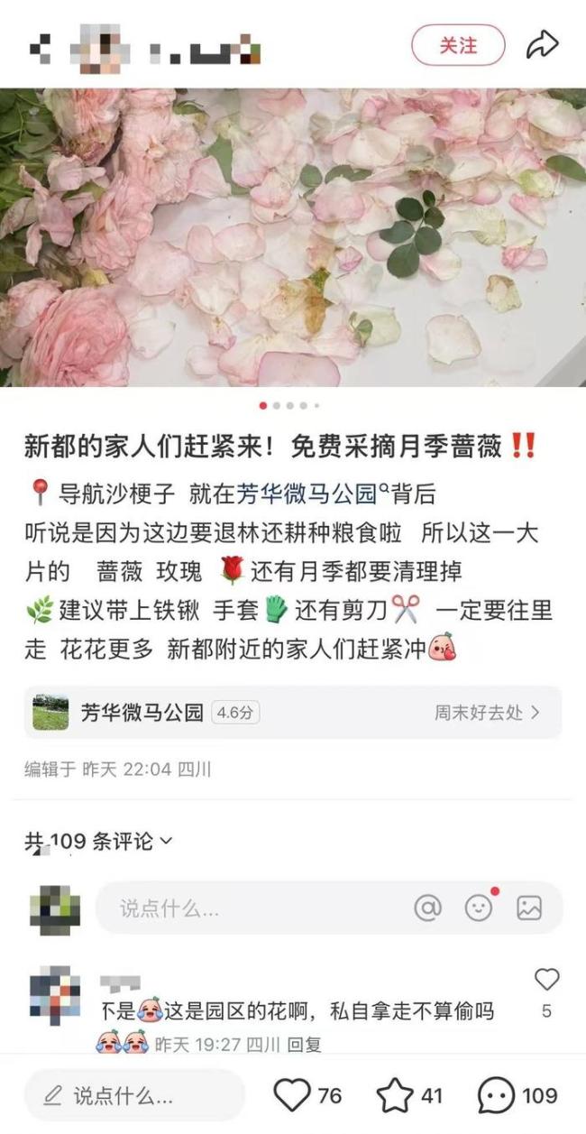 成都一苗圃遭組團挖花 不實信息引發(fā)混亂