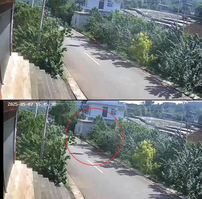 老人路邊賣櫻桃男子抱起就跑 家屬：已報(bào)警，不要賠償要態(tài)度