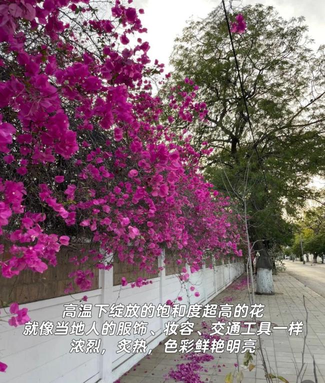當?shù)厝A人稱德里局部面臨大范圍停電 機場實施管控