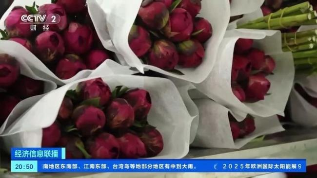 母親節(jié)鮮花賣爆了 訂單量激增