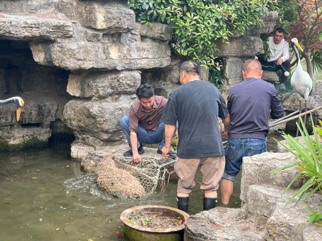 動(dòng)物園回應(yīng)懸賞通緝?cè)姜z卡皮巴拉 追捕大戲進(jìn)行中