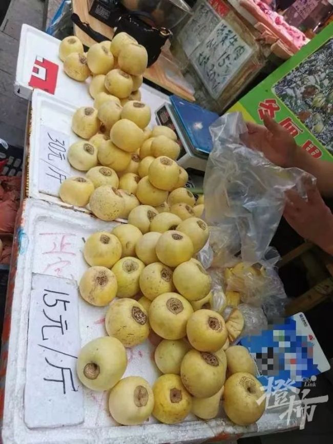 60一斤的新疆冬厘果究竟是什么 騙局揭秘