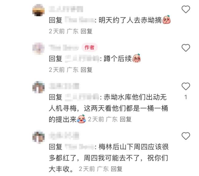 官方回應(yīng)深圳北站可以摘楊梅 公園提醒勿隨意采摘食用