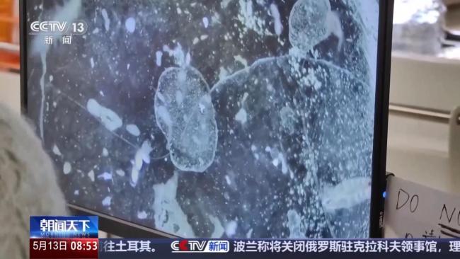 中國南極科考有了新發(fā)現(xiàn) 海冰與生態(tài)系統(tǒng)揭秘