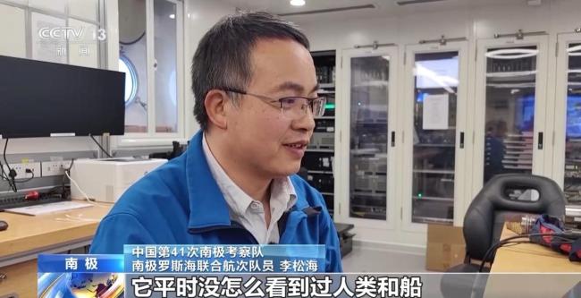 座頭鯨偷偷探班中國科考船