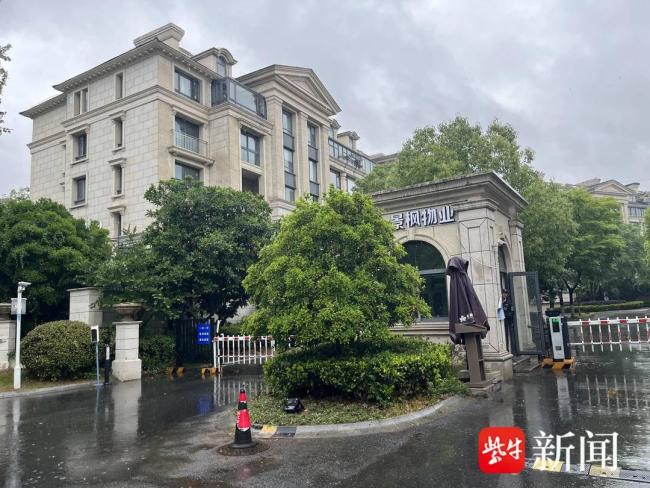 42棵觀賞樹被斬首物業(yè)稱找不到元兇 砍樹事件陷入僵局