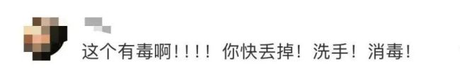 提醒！雨后遇到這種大蝸牛千萬(wàn)別碰