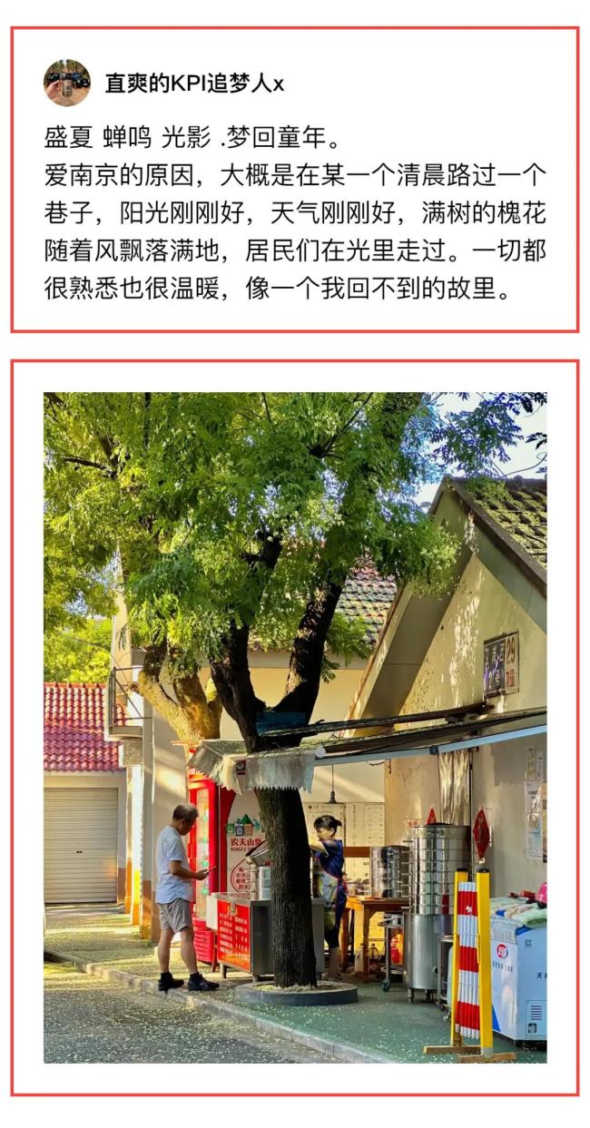 條友帶你回到童年的夏日 那些無憂無慮的日子