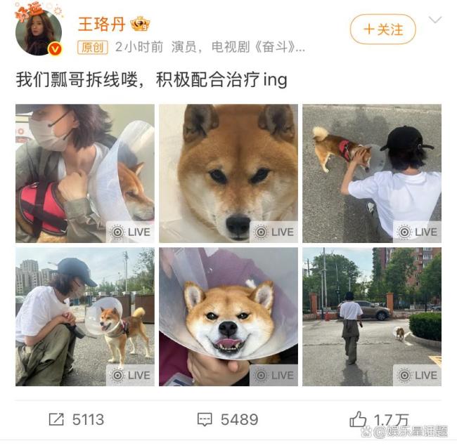 王珞丹分享瓢哥近况