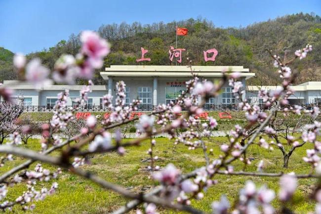 全程4公里！終點(diǎn)站竟是“1950”