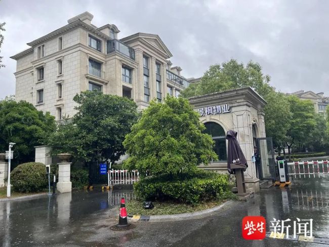 一小區(qū)被“斬首式”砍伐42棵樹 物業(yè)稱不知情引發(fā)爭議