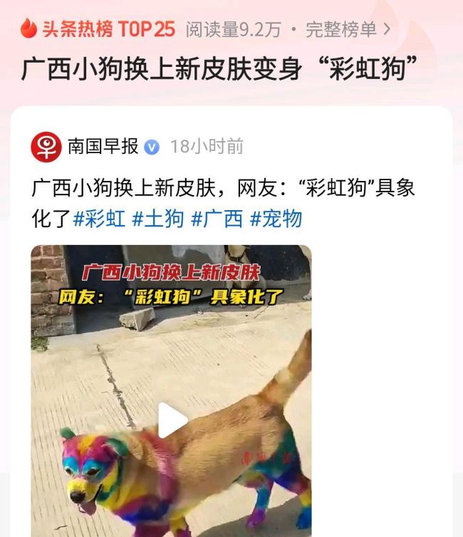 小狗換上新皮膚變“彩虹狗”走紅網(wǎng)絡(luò) 主人回應(yīng)