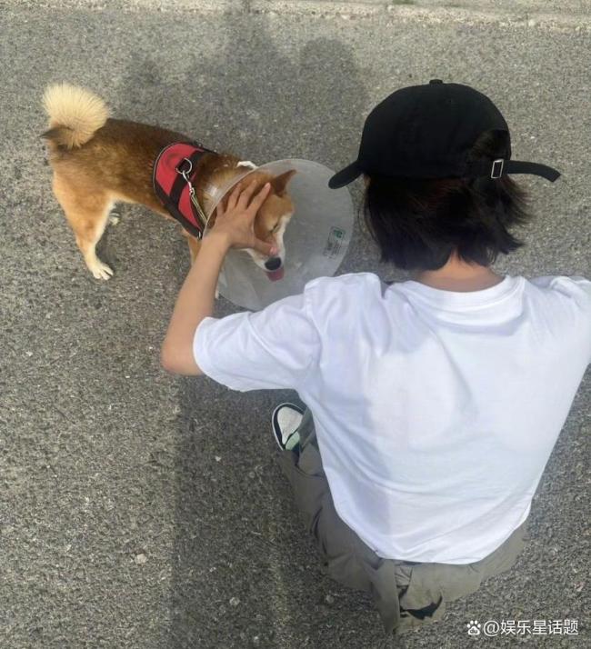 王珞丹晒“瓢哥”术后近况 乐观面对挑战