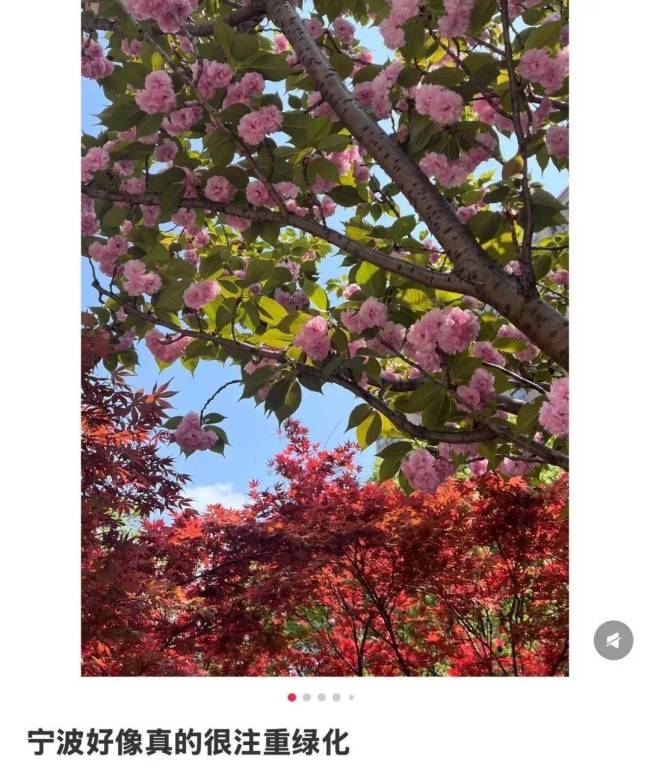 浙江寧波擠滿提前退休的中產(chǎn) 寧波正成為年輕人的烏托邦
