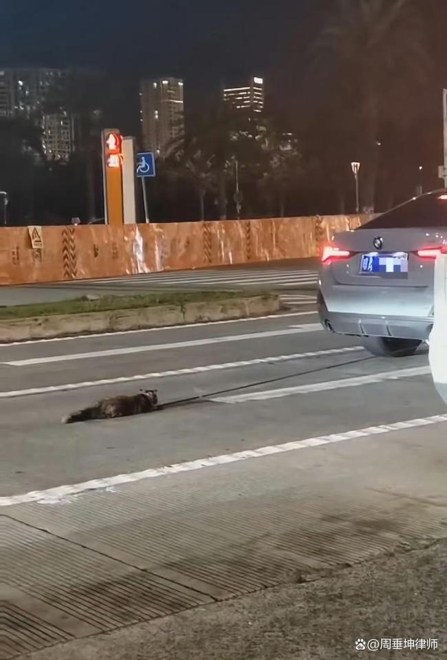 寶馬車(chē)拖行小貓 多名群眾一路追蹤 殘忍行為引眾怒