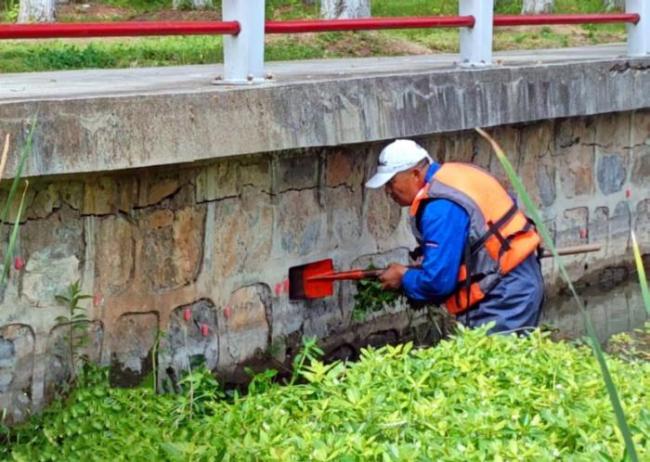 這種“粉葡萄”不能吃,，寄生蟲多達6000條！近期大量出現,，多地集中清理 外來入侵物種警報