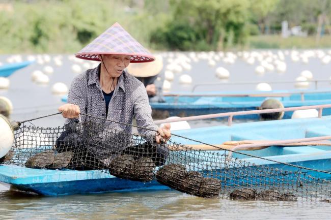 德清珍珠系统获世界级殊荣 中国水产养殖首例