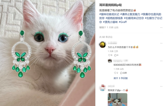女星天價耳環(huán)羅生門引全網(wǎng)珠寶鑒定 火彩之爭揭秘真相