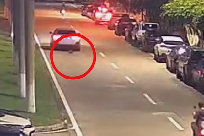 “汽車拖貓”事件后續(xù)：3人造謠網(wǎng)暴他人被行拘,！