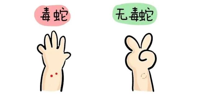 強得可怕,！女子手抓大蛇騎車過市 遇到蛇該怎么辦