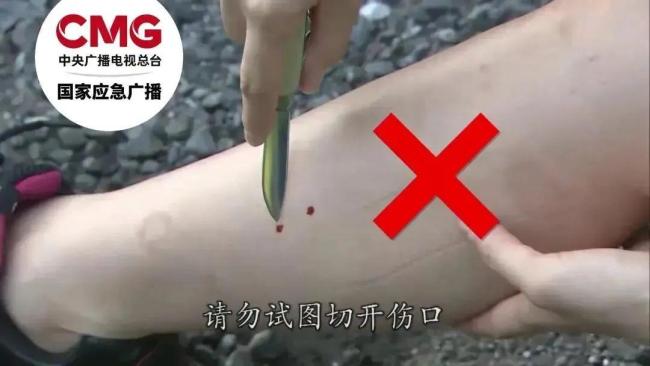 強得可怕,！女子手抓大蛇騎車過市 遇到蛇該怎么辦