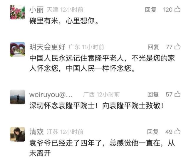 袁隆平逝世4周年 向陽而生