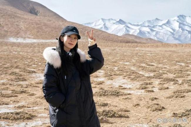 生命樹以巡山女警白菊的成長軌跡為切入點 楊紫,、胡歌領(lǐng)銜主演