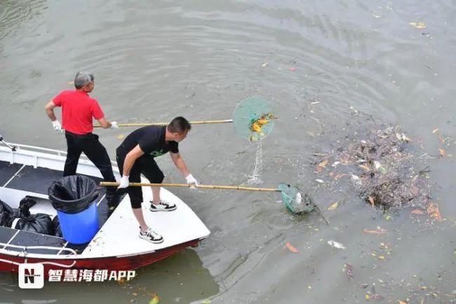 福州晉安湖出現(xiàn)大量死魚 強(qiáng)對流天氣致缺氧死亡