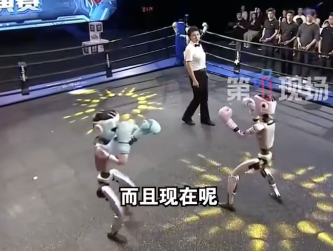 機(jī)器人出招就是“佛山無影腳”