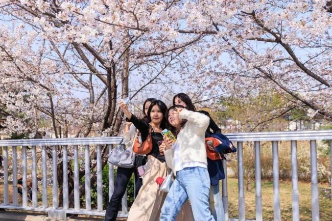 韓國結(jié)婚最高可獲2000萬韓元獎勵