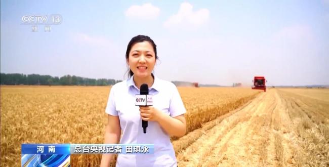 全國夏糧搶收進行時 1700萬台套農機具戰“三夏”
