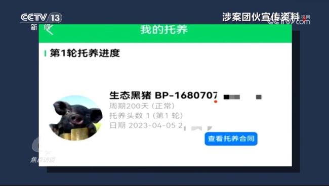 多部門將嚴(yán)打云養(yǎng)殖騙局