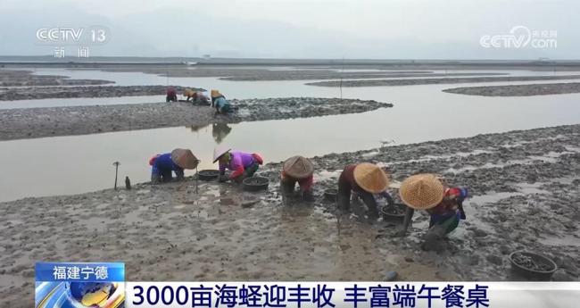 端午臨近 節(jié)前消費(fèi)市場(chǎng)活力涌動(dòng) 各地特色活動(dòng)促消費(fèi)