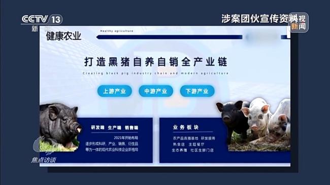 已有數(shù)萬人被騙 起底“云養(yǎng)殖”里的騙局