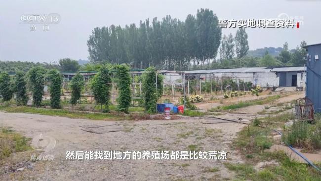 多部門將嚴(yán)打云養(yǎng)殖騙局 警惕高收益陷阱