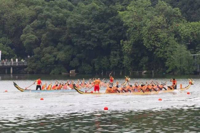 在廣州為何房東癡迷扒龍船,，江河湖海陸續(xù)上演“飆船”大片